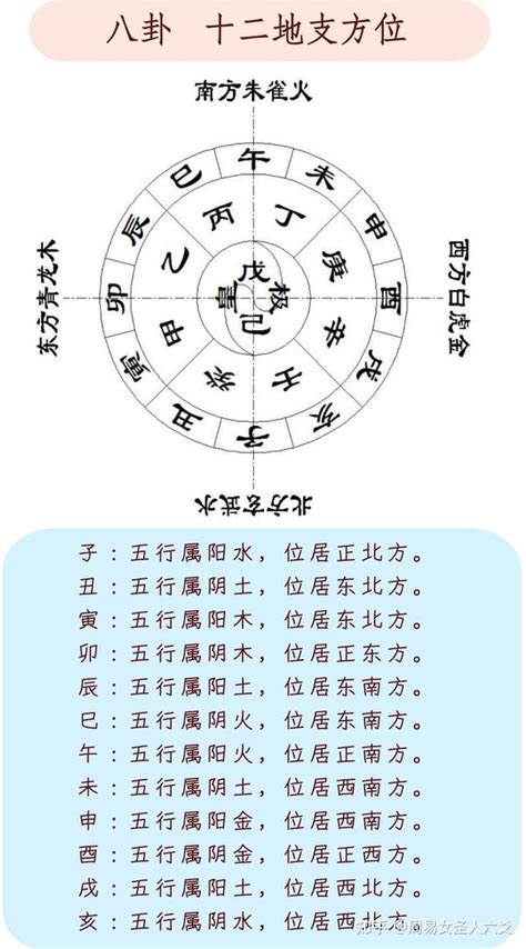 丑未|十二地支—未土